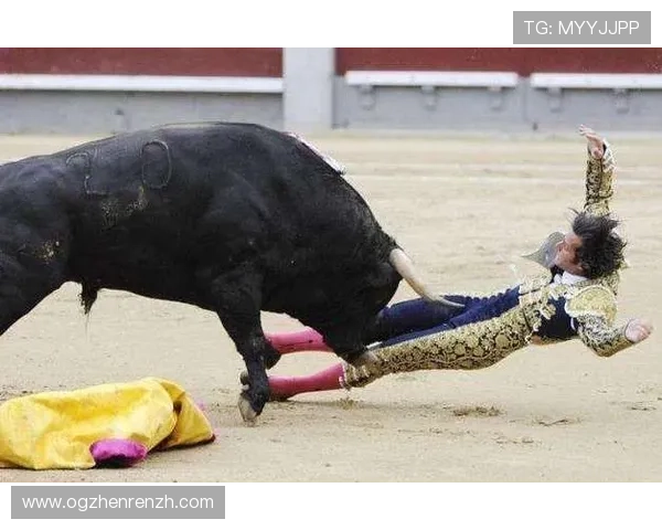 真人斗牛网址最新更新带来最真实刺激的斗牛娱乐体验 真人斗牛网址最新更新带来最真实刺激的斗牛娱乐体验