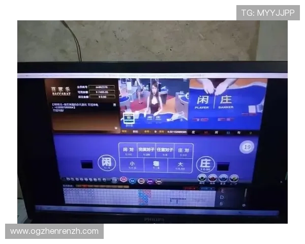 深入理解百家乐路单的类型与应用场景全面教学资料分享